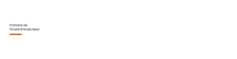 Promotion de l'Emploi à Schaerbeek logo